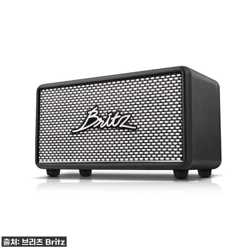이 가격 실화?! 브리츠 BZ-RK101, 내돈내산 찐 사용후기 (30W 고출력 스피커 지금이 딱!) 12 이 가격 실화?! 브리츠 BZ-RK1 관련 이미지 1