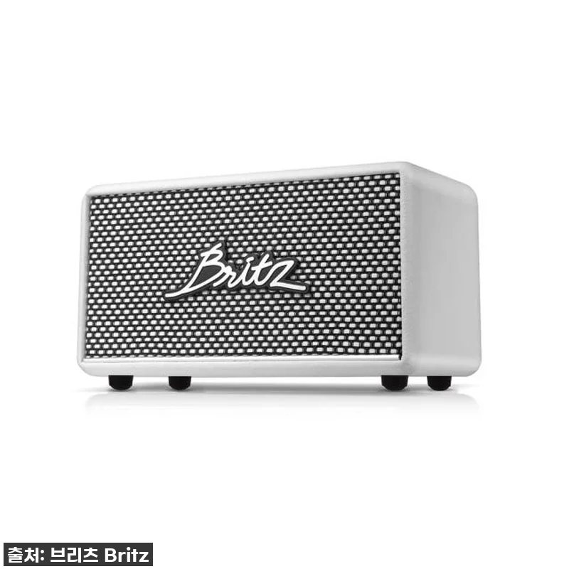 이 가격 실화?! 브리츠 BZ-RK101, 내돈내산 찐 사용후기 (30W 고출력 스피커 지금이 딱!) 13 이 가격 실화?! 브리츠 BZ-RK1 관련 이미지 2