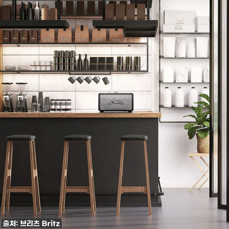 이 가격 실화?! 브리츠 BZ-RK101, 내돈내산 찐 사용후기 (30W 고출력 스피커 지금이 딱!) 14 이 가격 실화?! 브리츠 BZ-RK1 관련 이미지 3