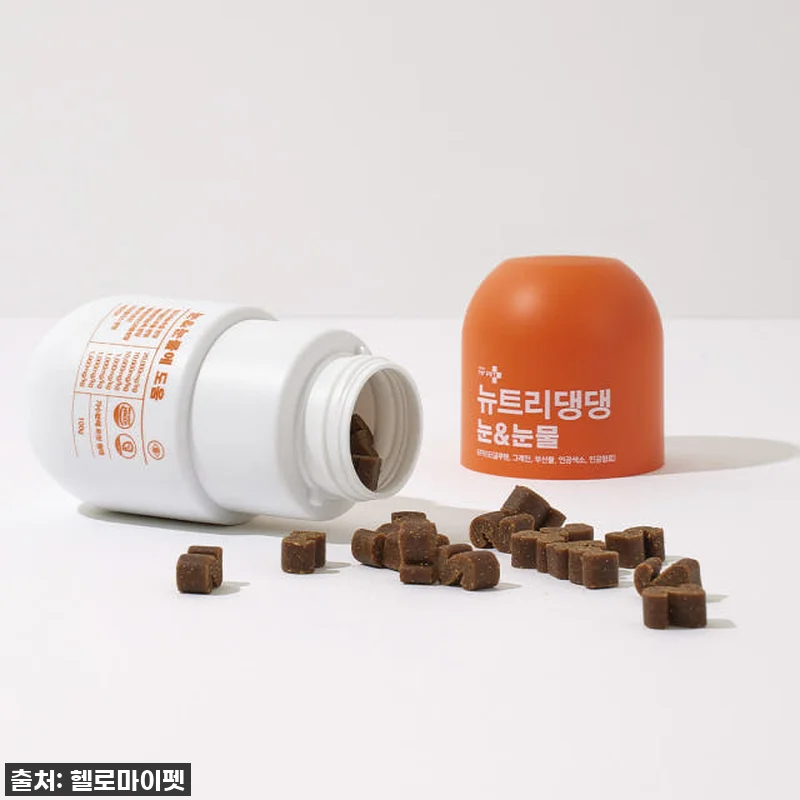 ✨눈물자국 지우개? 뉴트리댕댕 강아지 눈영양제 찐후기! 품절대란 예상템! 11 ✨눈물자국 지우개? 뉴트리댕댕 강아지 관련 이미지 4