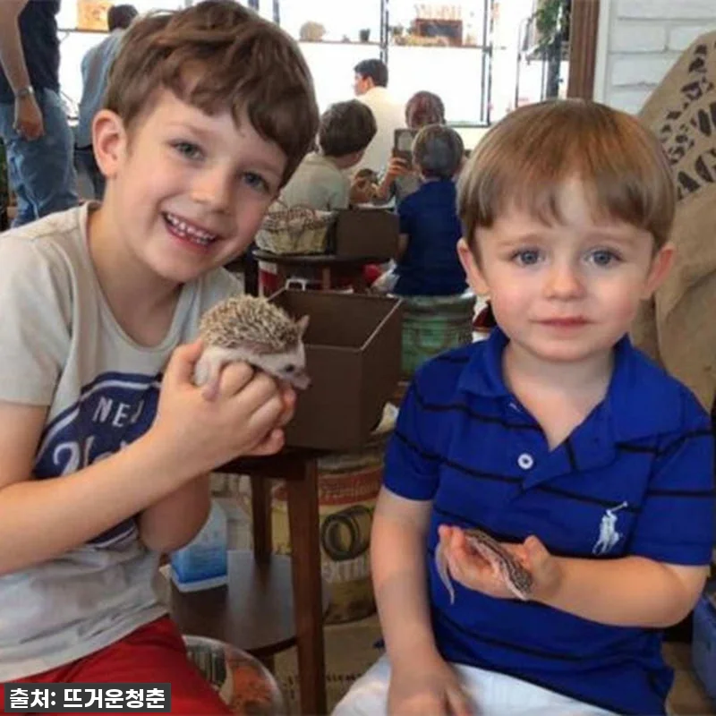 도쿄 여행 필수템! 하라주쿠 고슴도치 카페, 찐후기부터 꿀팁까지 다 알려드림! 10 도쿄 여행 필수템! 하라주쿠 고슴도치 관련 이미지 4