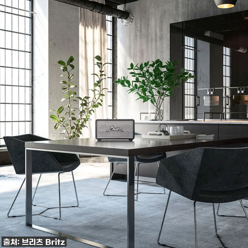 이 가격 실화?! 브리츠 BZ-RK101, 내돈내산 찐 사용후기 (30W 고출력 스피커 지금이 딱!) 15 이 가격 실화?! 브리츠 BZ-RK1 관련 이미지 4