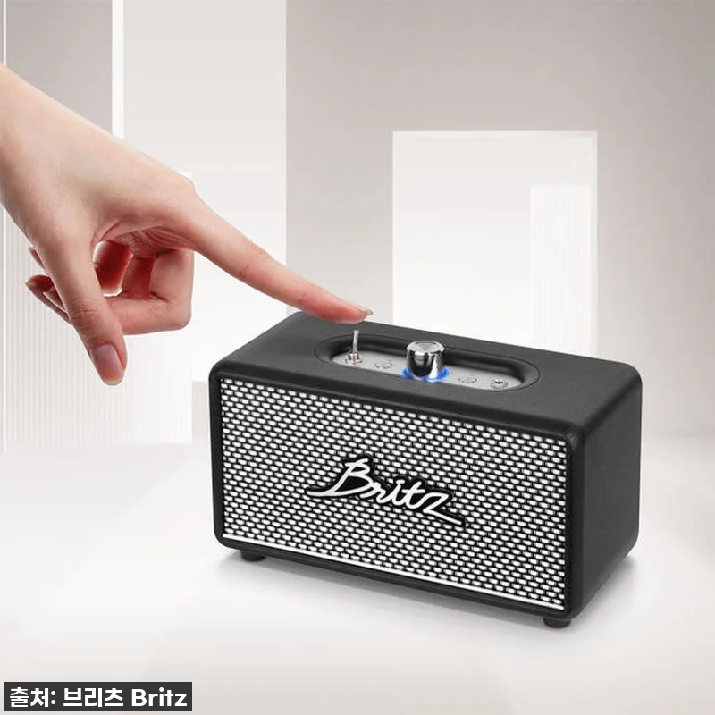 이 가격 실화?! 브리츠 BZ-RK101, 내돈내산 찐 사용후기 (30W 고출력 스피커 지금이 딱!) 16 이 가격 실화?! 브리츠 BZ-RK1 관련 이미지 5