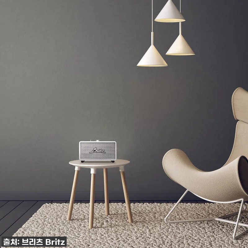 이 가격 실화?! 브리츠 BZ-RK101, 내돈내산 찐 사용후기 (30W 고출력 스피커 지금이 딱!) 18 이 가격 실화?! 브리츠 BZ-RK1 관련 이미지 7