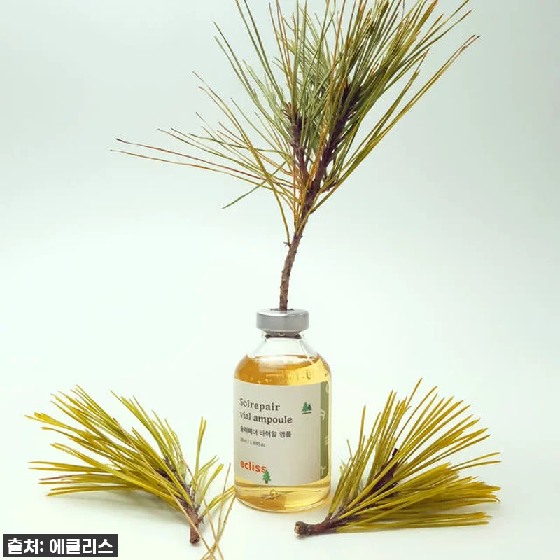 피부 컨디션 급상승! 에클리스 솔리페어 앰플, 내 피부가 이렇게 좋아질 수 있다고? 찐후기 공개! 18 피부 컨디션 급상승! 에클리스 솔리페 관련 이미지 8