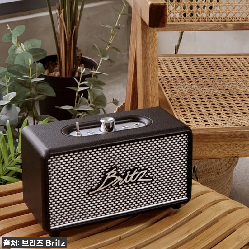 이 가격 실화?! 브리츠 BZ-RK101, 내돈내산 찐 사용후기 (30W 고출력 스피커 지금이 딱!) 19 이 가격 실화?! 브리츠 BZ-RK1 관련 이미지 8