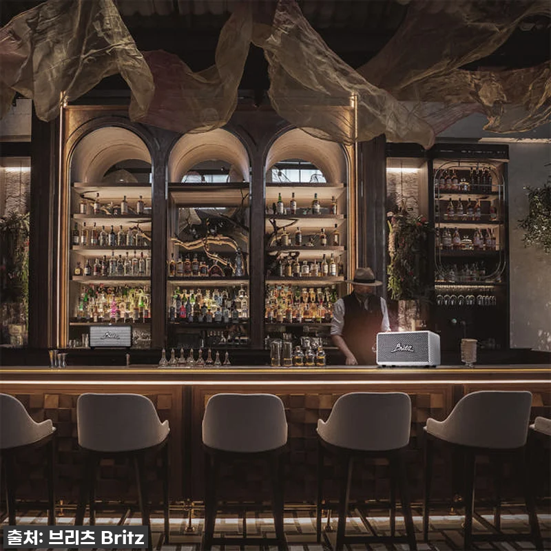 이 가격 실화?! 브리츠 BZ-RK101, 내돈내산 찐 사용후기 (30W 고출력 스피커 지금이 딱!) 20 이 가격 실화?! 브리츠 BZ-RK1 관련 이미지 9