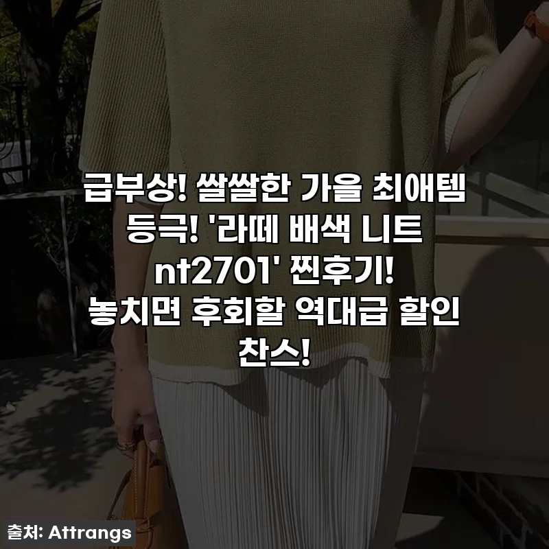 급부상! 쌀쌀한 가을 최애템 등극! '라떼 배색 니트 nt2701' 찐후기! 놓치면 후회할 역대급 할인 찬스!