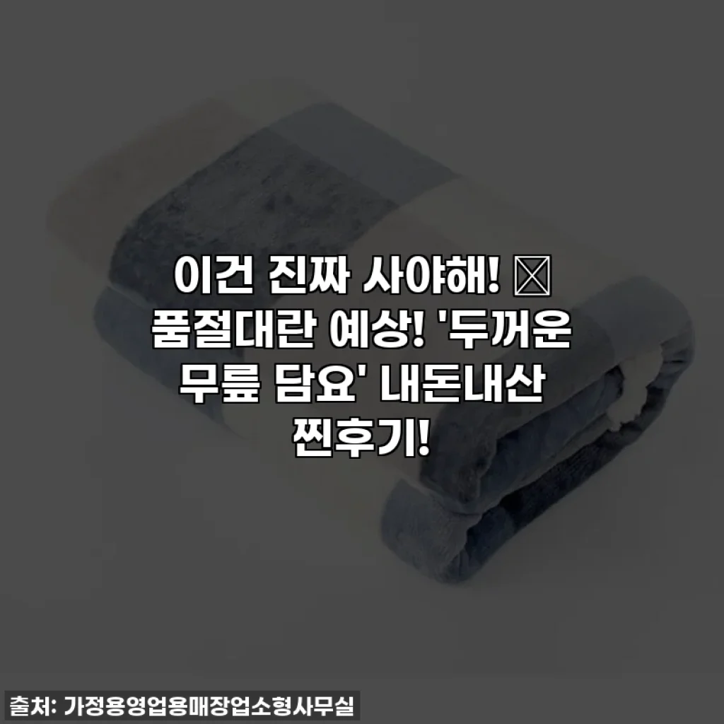 이건 진짜 사야해! 💖 품절대란 예상! '두꺼운 무릎 담요' 내돈내산 찐후기!
