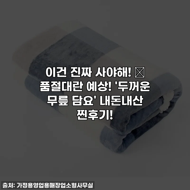이건 진짜 사야해! 💖 품절대란 예상! '두꺼운 무릎 담요' 내돈내산 찐후기!