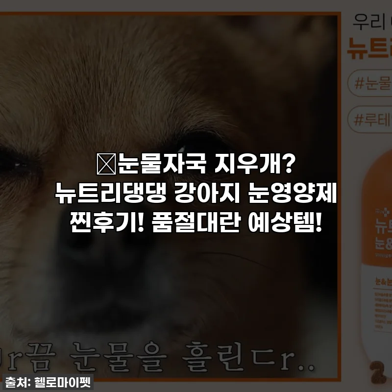 ✨눈물자국 지우개? 뉴트리댕댕 강아지 눈영양제 찐후기! 품절대란 예상템!