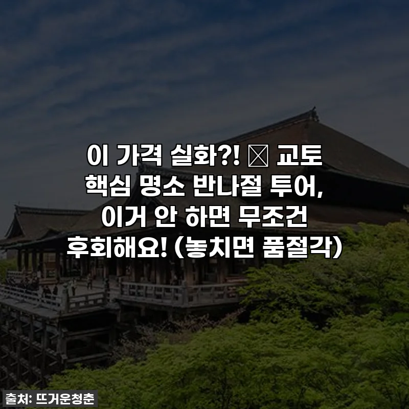 이 가격 실화?! ✨ 교토 핵심 명소 반나절 투어, 이거 안 하면 무조건 후회해요! (놓치면 품절각)