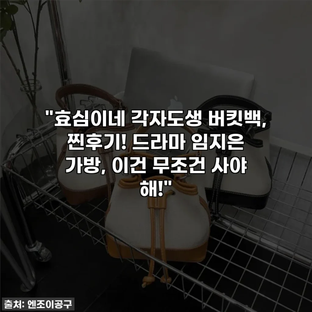 "효심이네 각자도생 버킷백, 찐후기! 드라마 임지은 가방, 이건 무조건 사야 해!"