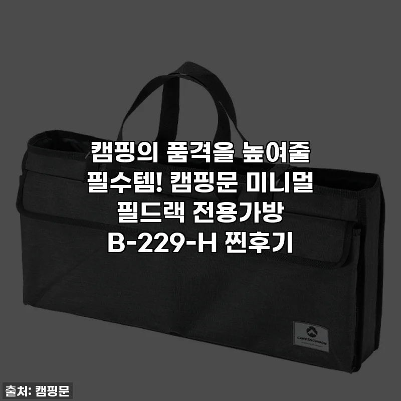 캠핑의 품격을 높여줄 필수템! 캠핑문 미니멀 필드랙 전용가방 B-229-H 찐후기