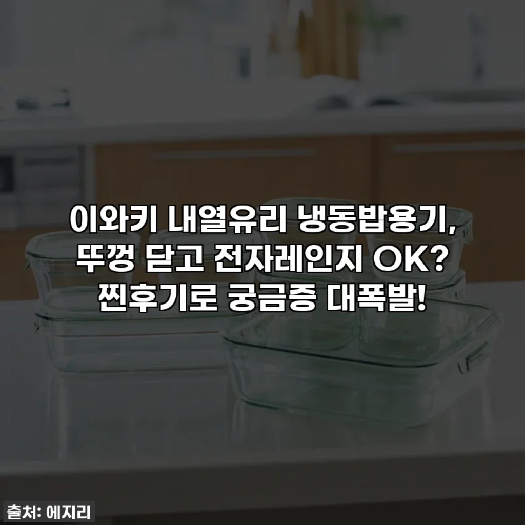 이와키 내열유리 냉동밥용기, 뚜껑 닫고 전자레인지 OK? 찐후기로 궁금증 대폭발!