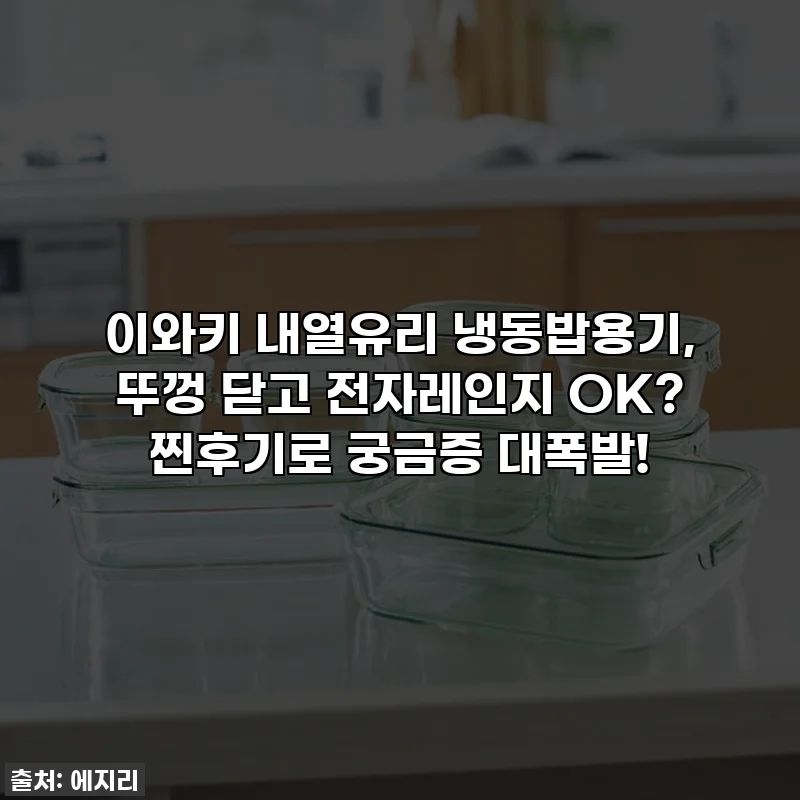 이와키 내열유리 냉동밥용기, 뚜껑 닫고 전자레인지 OK? 찐후기로 궁금증 대폭발!