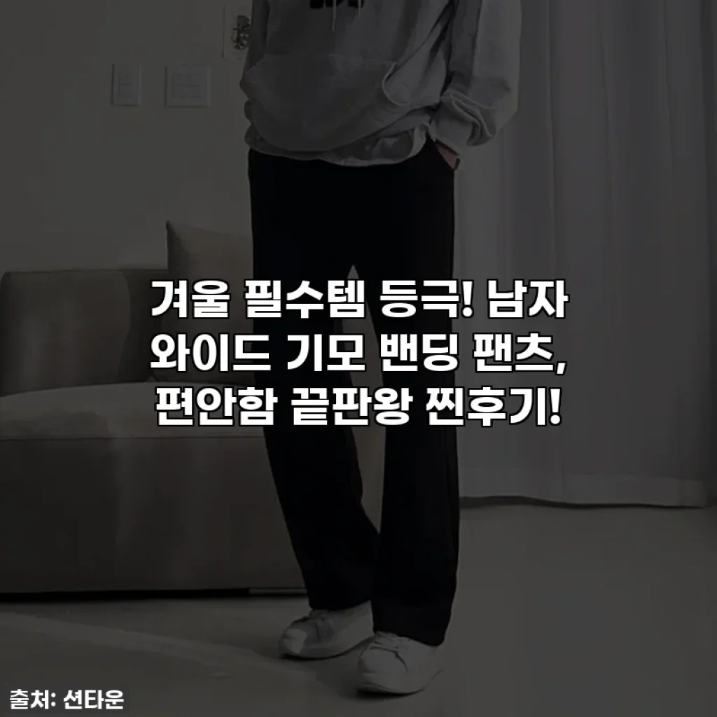 겨울 필수템 등극! 남자 와이드 기모 밴딩 팬츠, 편안함 끝판왕 찐후기!