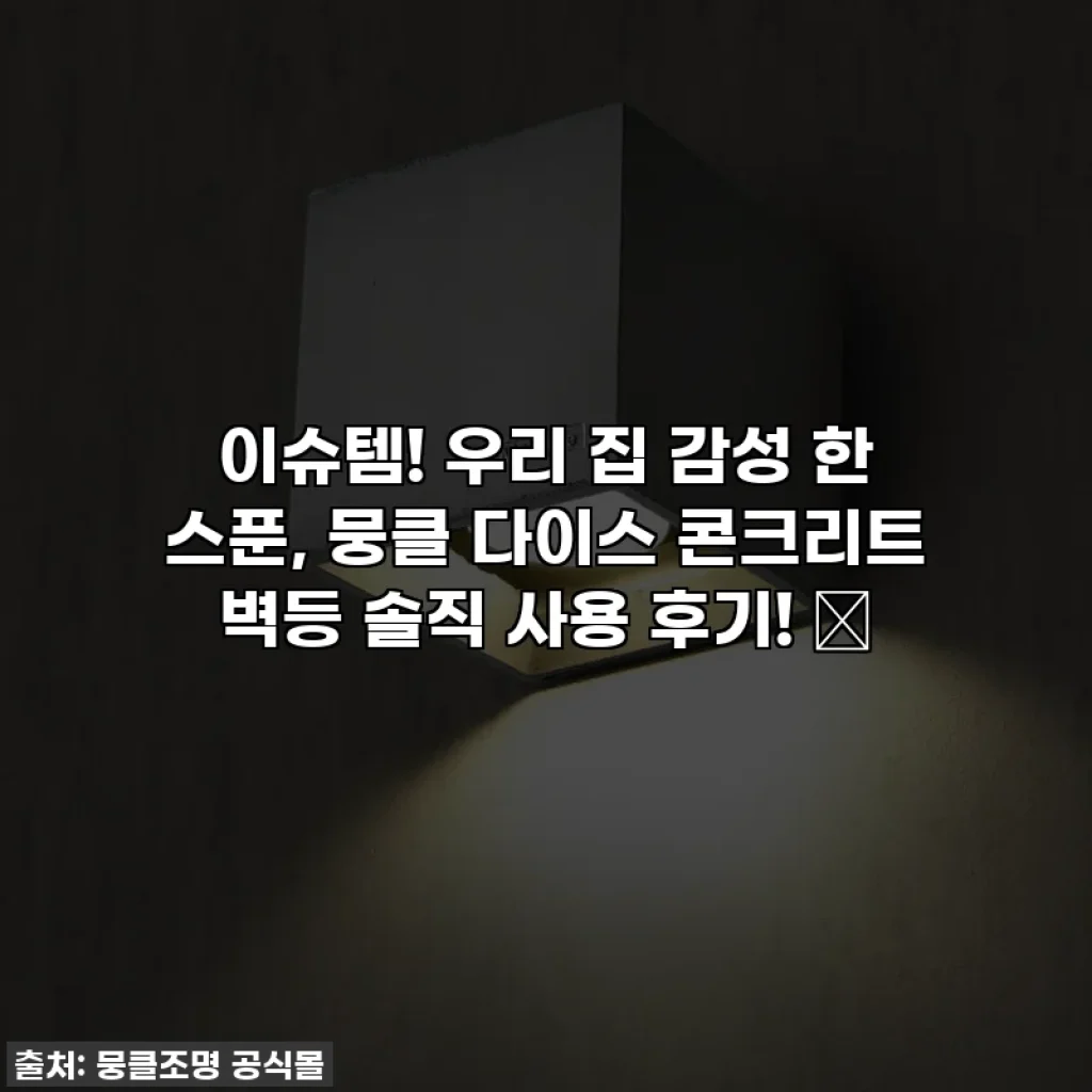 이슈템! 우리 집 감성 한 스푼, 뭉클 다이스 콘크리트 벽등 솔직 사용 후기! ✨