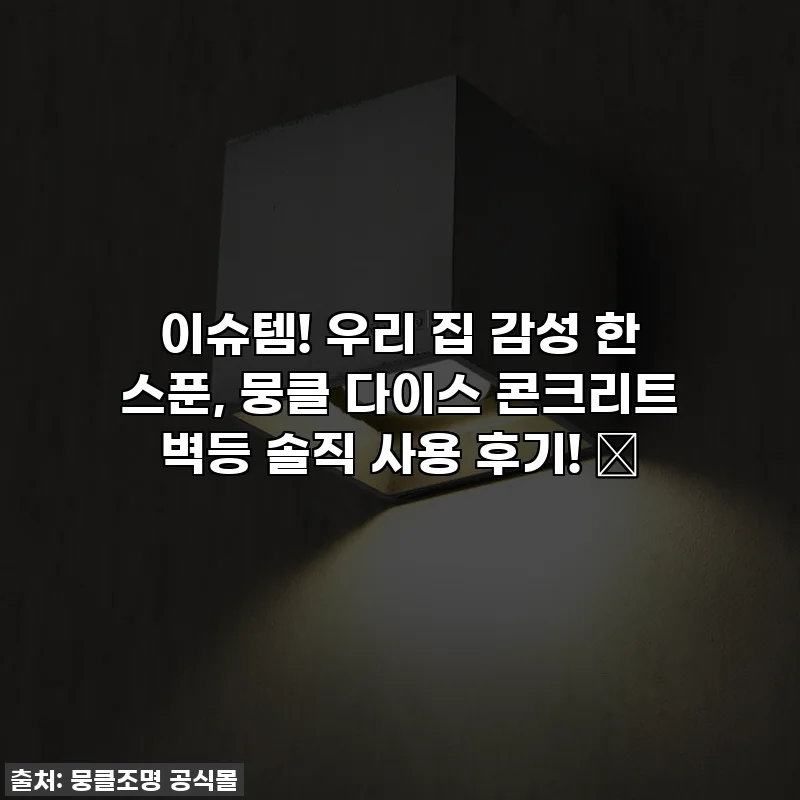 이슈템! 우리 집 감성 한 스푼, 뭉클 다이스 콘크리트 벽등 솔직 사용 후기! ✨