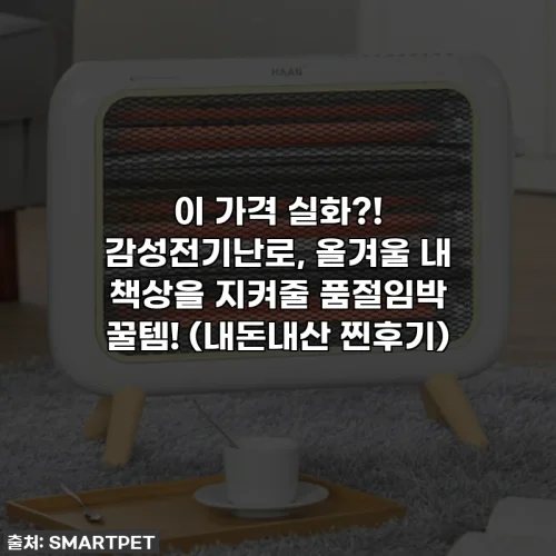 Home 60 이 가격 실화?! 감성전기난로, 올겨울 내 책상을 지켜줄 품절임박 꿀템! (내돈내산 찐후기)