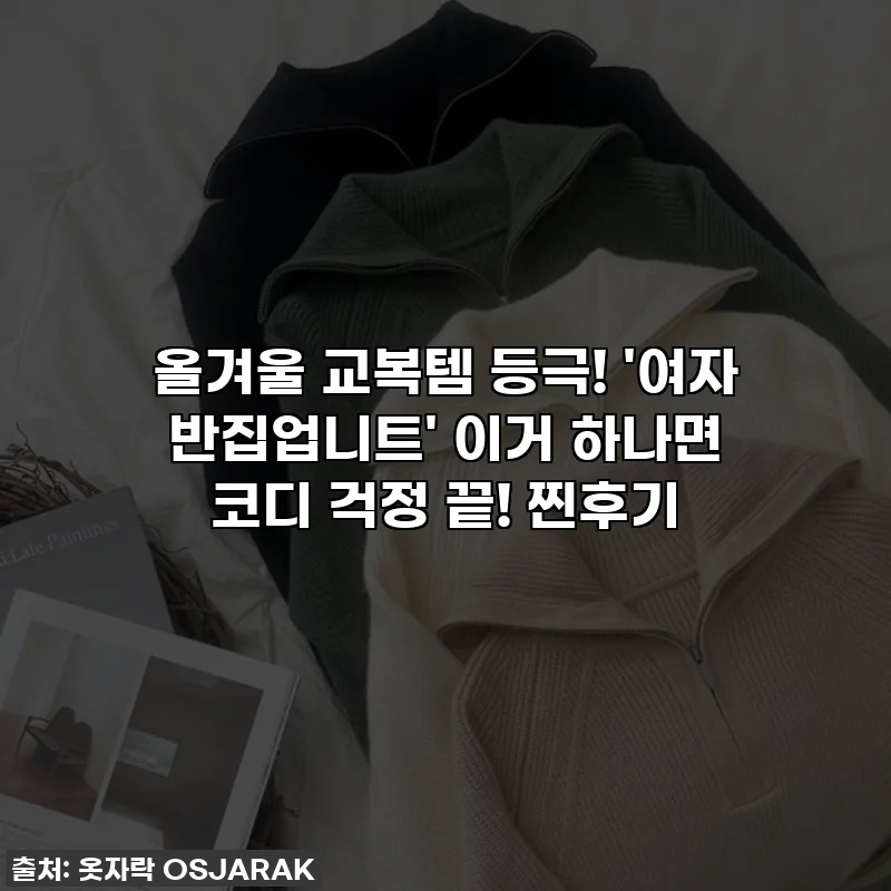 올겨울 교복템 등극! '여자 반집업니트' 이거 하나면 코디 걱정 끝! 찐후기