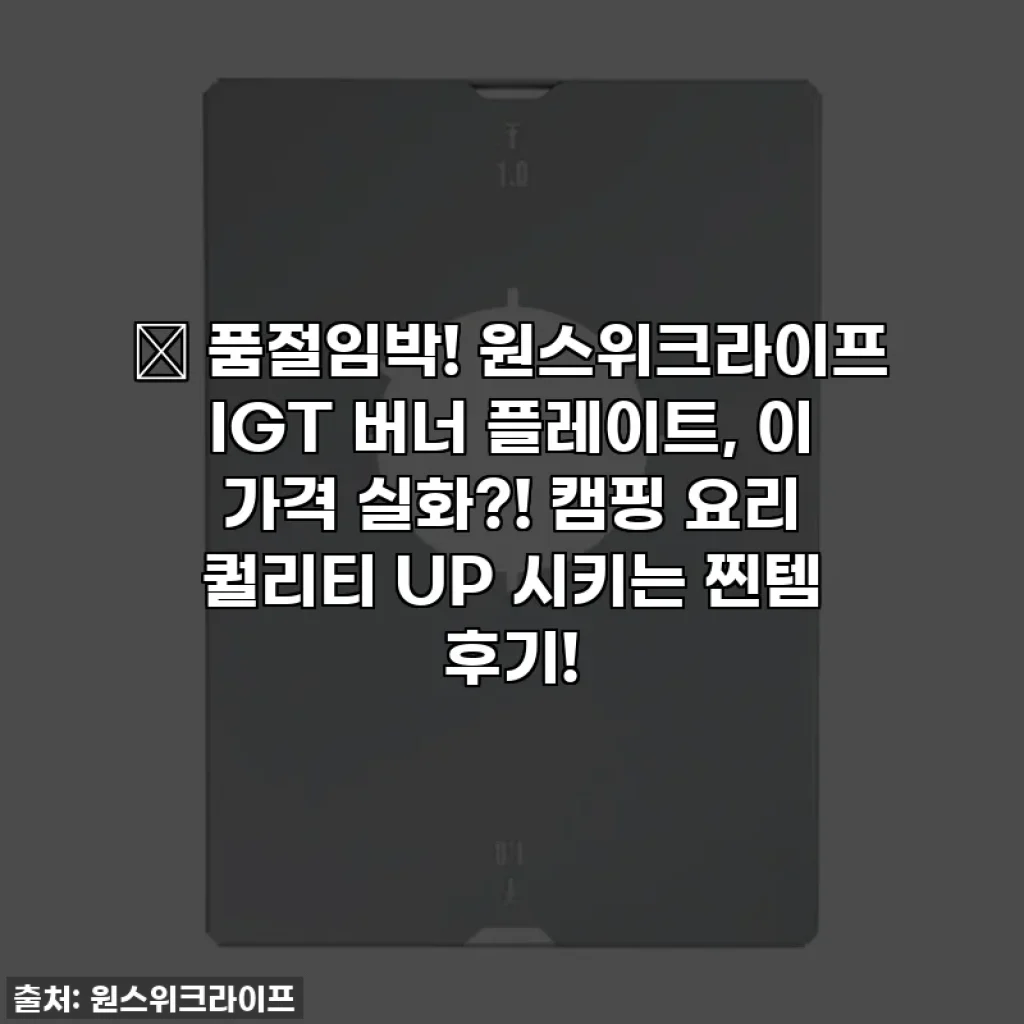 🔥 품절임박! 원스위크라이프 IGT 버너 플레이트, 이 가격 실화?! 캠핑 요리 퀄리티 UP 시키는 찐템 후기!