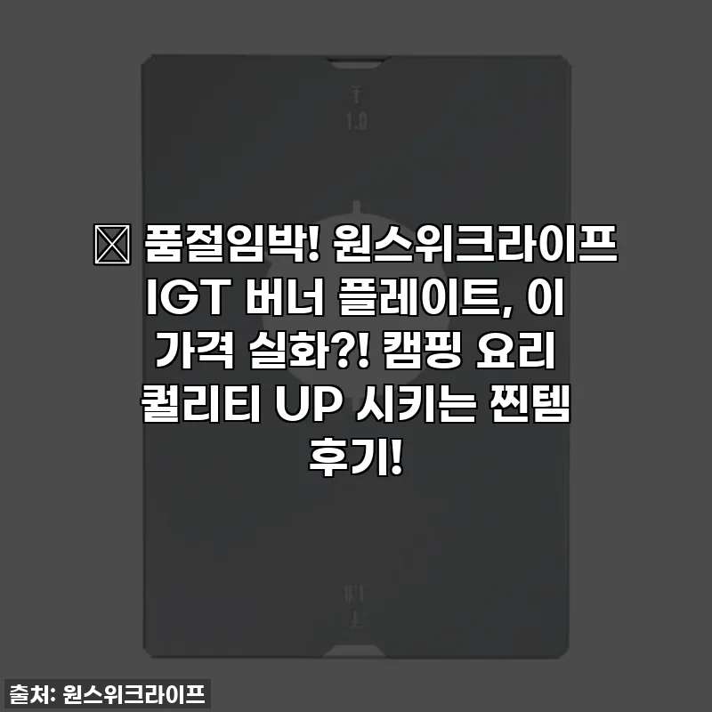 🔥 품절임박! 원스위크라이프 IGT 버너 플레이트, 이 가격 실화?! 캠핑 요리 퀄리티 UP 시키는 찐템 후기!
