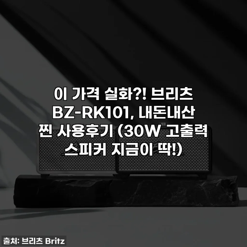이 가격 실화?! 브리츠 BZ-RK101, 내돈내산 찐 사용후기 (30W 고출력 스피커 지금이 딱!)