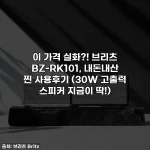 이 가격 실화?! 브리츠 BZ-RK101, 내돈내산 찐 사용후기 (30W 고출력 스피커 지금이 딱!)