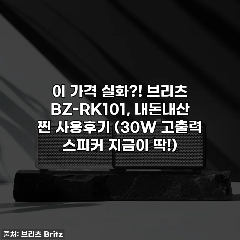 이 가격 실화?! 브리츠 BZ-RK101, 내돈내산 찐 사용후기 (30W 고출력 스피커 지금이 딱!)