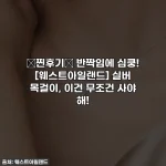 💖찐후기💖 반짝임에 심쿵! [웨스트아일랜드] 실버 목걸이, 이건 무조건 사야 해!