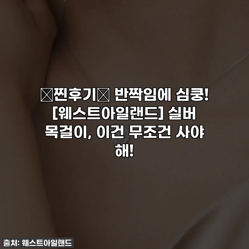 💖찐후기💖 반짝임에 심쿵! [웨스트아일랜드] 실버 목걸이, 이건 무조건 사야 해!