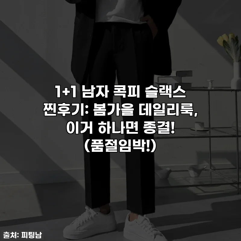 1+1 남자 콕피 슬랙스 찐후기: 봄가을 데일리룩, 이거 하나면 종결! (품절임박!)