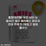 품절대란템! 우리 냥이 눈 돌아간 쉐리 에리에스 파우치 연어 찐후기 (재입고 알림 필수!)