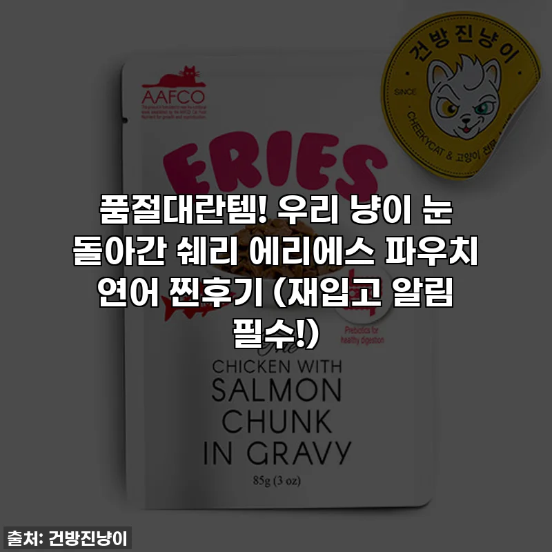 품절대란템! 우리 냥이 눈 돌아간 쉐리 에리에스 파우치 연어 찐후기 (재입고 알림 필수!)