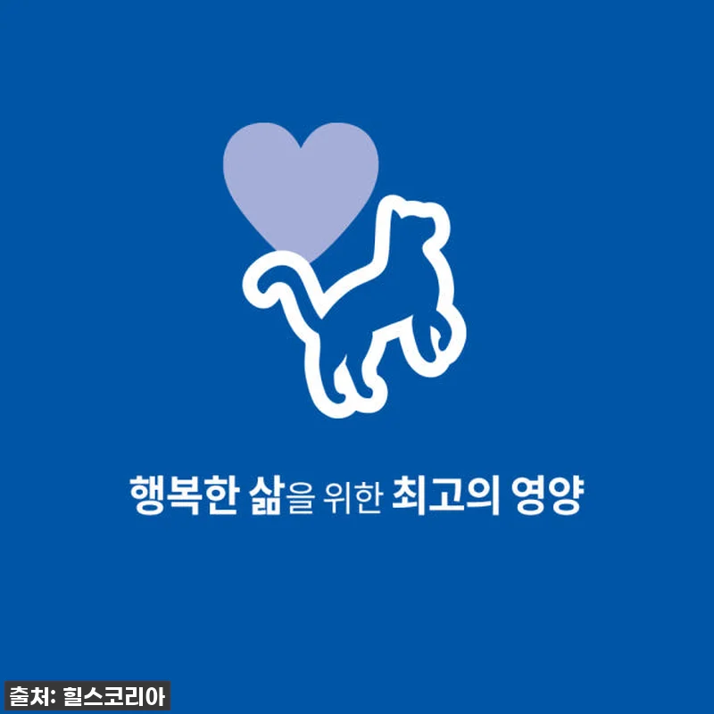냥님들의 최애 스튜 등극! 힐스 고양이사료 헬시 퀴진 치킨 & 당근 스튜, 이 가격 실화? 찐후기! 8 냥님들의 최애 스튜 등극! 힐스 고양 관련 이미지 1
