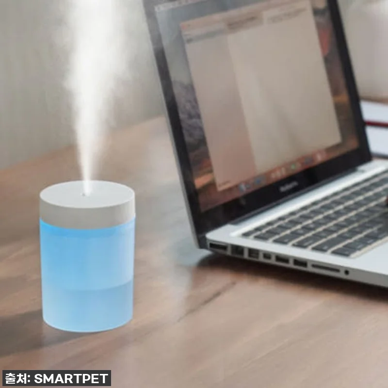 건조한 내 책상에 단비! 찐후기, 품 관련 이미지 1