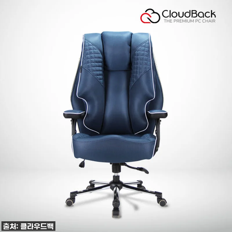 찐후기! 품절대란 예상! 구름 위에 앉은 듯한 클라우드백 T500MQ 메쉬 의자, 진짜가 나타났다! 11 찐후기! 품절대란 예상! 구름 위에 관련 이미지 1