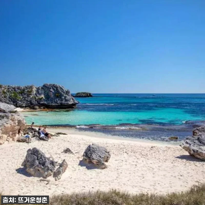 이건 무조건 사야 해! 찐후기: 호주 관련 이미지 1