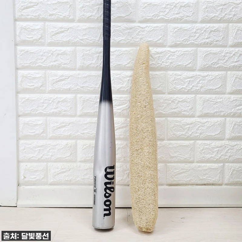 진짜 이 크기 실화?! 메가천연수세미로 주방 설거지 혁명 일으킨 찐후기! ✨ (feat. 환경 지킴이 등극!) 8 진짜 이 크기 실화?! 메가천연수세미 관련 이미지 1