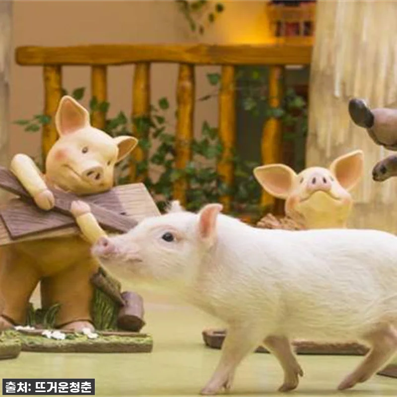 도쿄 여행 필수템! 하라주쿠 마이크로 관련 이미지 1