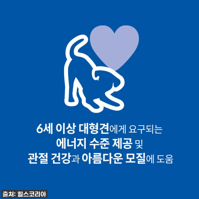 우리집 대형견 노견 사료 유목민, 드 관련 이미지 1