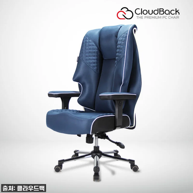 찐후기! 품절대란 예상! 구름 위에 앉은 듯한 클라우드백 T500MQ 메쉬 의자, 진짜가 나타났다! 12 찐후기! 품절대란 예상! 구름 위에 관련 이미지 2