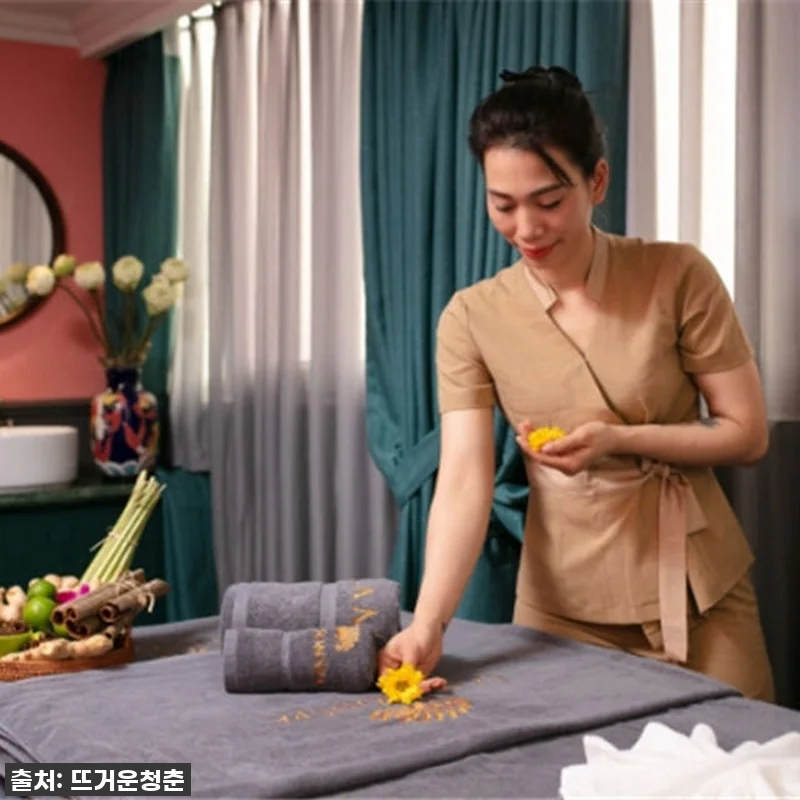 하노이 여행 필수템! 라 메종 스파 & 마사지, 98% 할인가로 찐힐링 성공 (feat. 품절각!) 10 하노이 여행 필수템! 라 메종 스파 관련 이미지 2