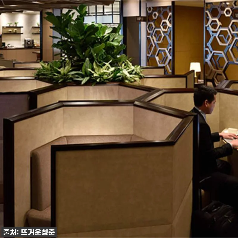 찐후기! 싱가포르 창이 공항 라운지, 86% 할인으로 품절각?! 이건 무조건 사야 해! 7 찐후기! 싱가포르 창이 공항 라운지, 관련 이미지 2