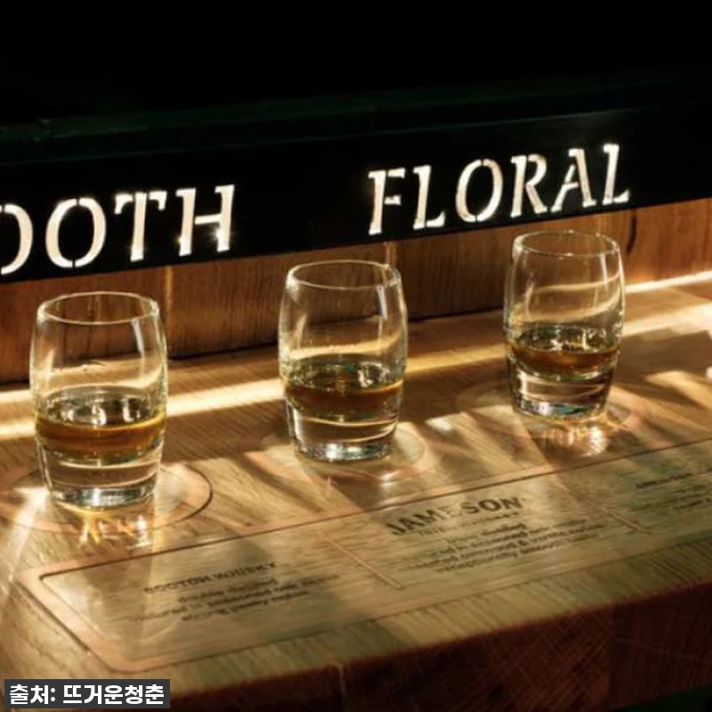 이슈템! 더블린 여행 필수템, 더블린 관련 이미지 2