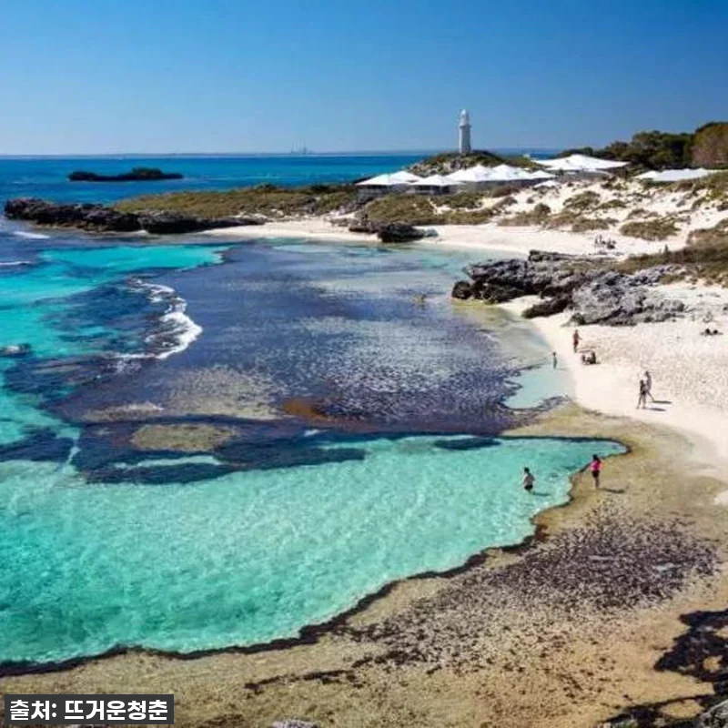 이건 무조건 사야 해! 찐후기: 호주 관련 이미지 2