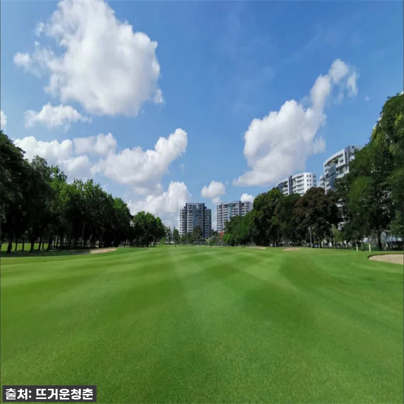 이슈템! 태국 방콕 타나시티 컨트리클럽 골프체험 찐후기 | 이 가격에 이런 코스? 놓치면 후회할 걸요! 10 이슈템! 태국 방콕 타나시티 컨트리클 관련 이미지 2