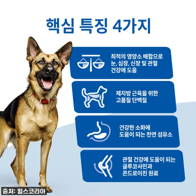 우리집 대형견 노견 사료 유목민, 드 관련 이미지 2