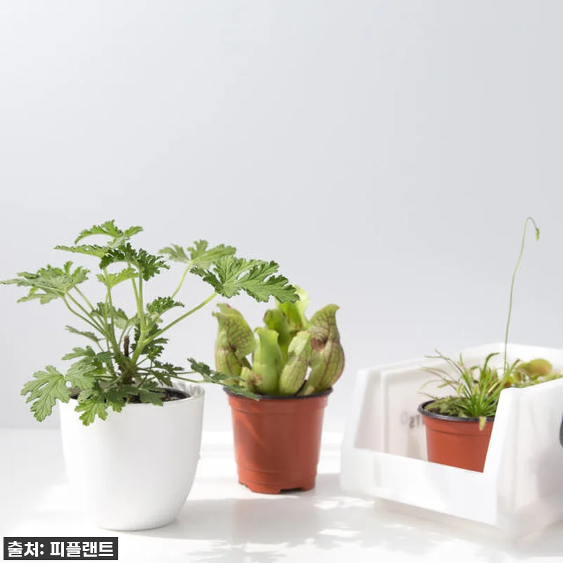 지금 안 사면 후회할 걸? 🥹 모기퇴 관련 이미지 2